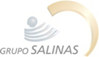 logo_salinas